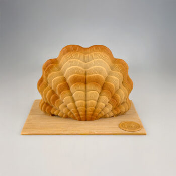 BENITIER DU PACIFIQUE – Image 3