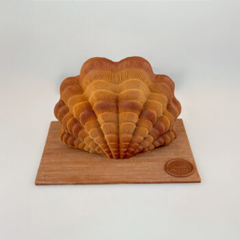 BENITIER DU PACIFIQUE