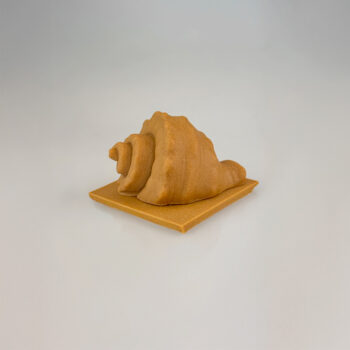 COQUILLAGE PRALINÉ – Image 3