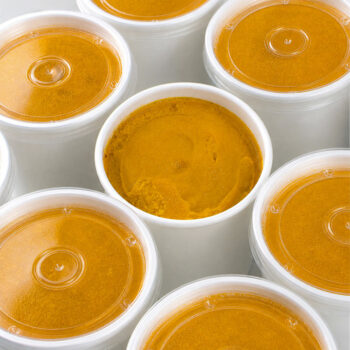 SORBET - Mangue
