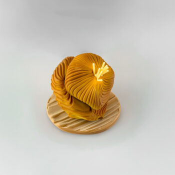 ANÉMONE – Image 3