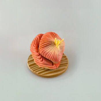 ANÉMONE – Image 4