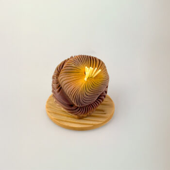 ANÉMONE – Image 5