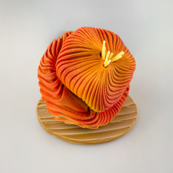 ANÉMONE – Image 6