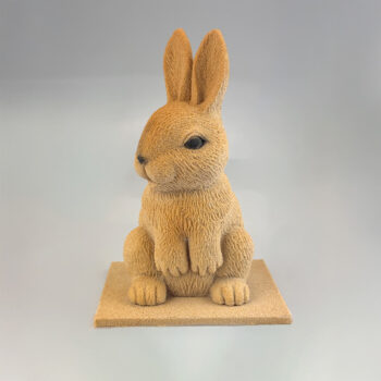 LAPIN FARCEUR – Image 5