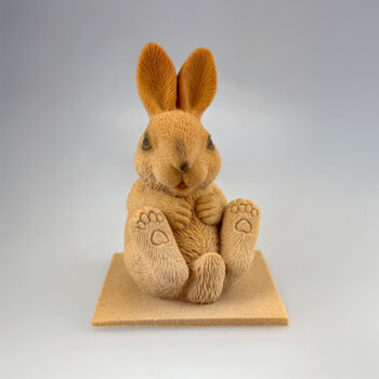 LAPIN FARCEUR – Image 6
