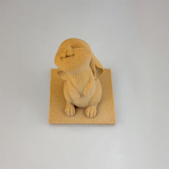 LAPIN RIEUR – Image 6