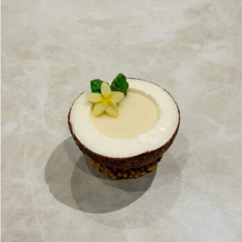 NOIX DE COCO - coco ananas menthe