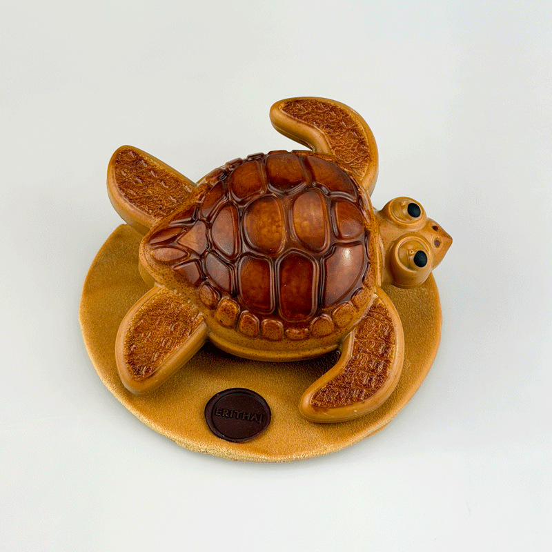 CRÉATION_TORTUE