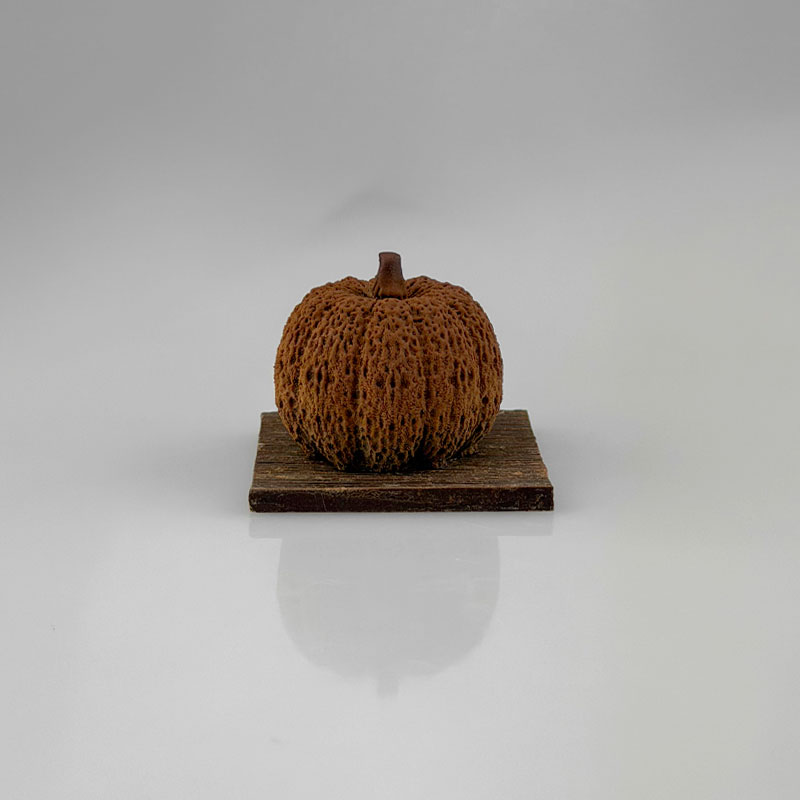 sujet_fourré_citrouille_noir
